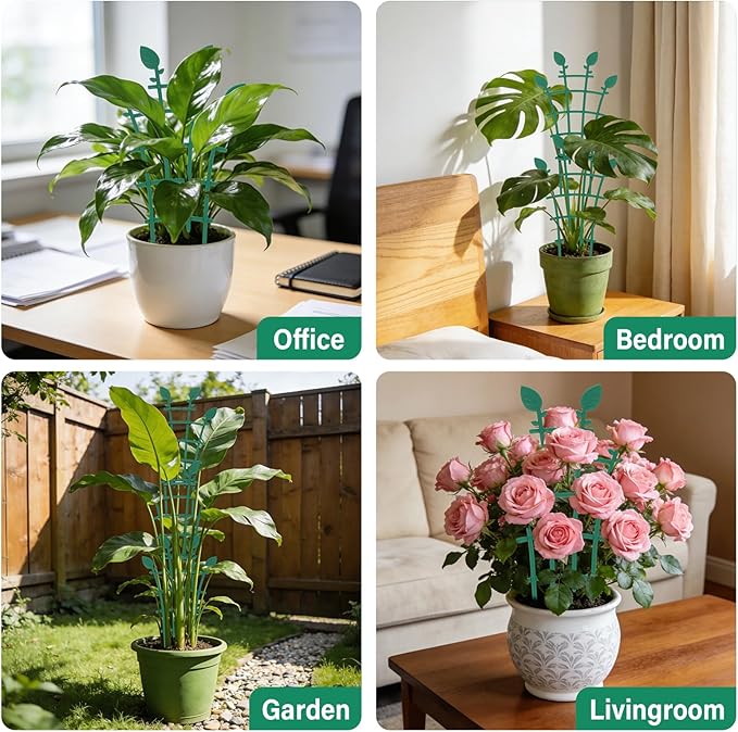Trellis for Potted Plants (12)