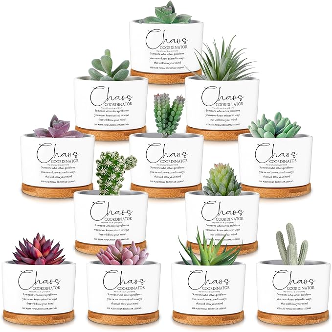 12 Pcs Chaos Coordinator Gifts Succulent Pots Employee Appreciation Gifts Bulk for Women Coworker Teacher Small Ceramic Plant Pots with Bamboo Trays for Office Staff Nurse