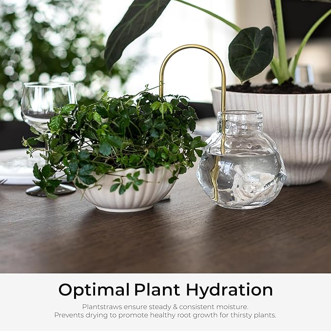 Beautiful Self-Watering Wick System for Effortless Plant Care, Automatic Drip Irrigation, Sustainable & Stylish Scandinavian Design, Ideal for House Plants (M, Brown Terracotta)