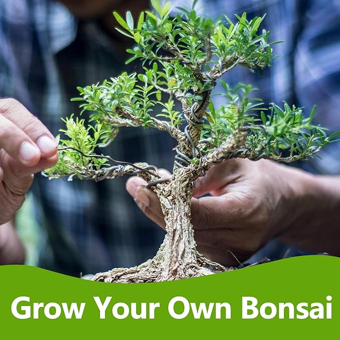 Bonsai Tree Kit, Bonsai Starter Kit with 4 Types of Seeds, Tools & Planters, Bonsai Tree Live Plants Indoor, Gardening Gifts for Women Men Mom Father Plant Lover, Unique