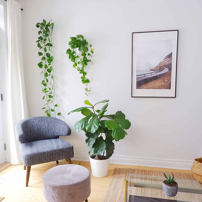 Make Good Virgo Wall Planters (Geometric, Set of 6) - Easy to Water and Install - Lightweight - Design Your Own Vertical Garden - Melamine Plastic
