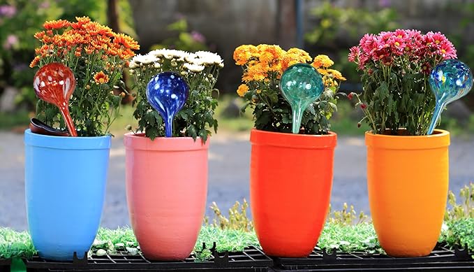 5 STAR SUPER DEALS Aqua Plant Watering Globes - Automatic Watering Ball Bulbs - Self Watering Plant Glass Bulbs System (16, Small)
