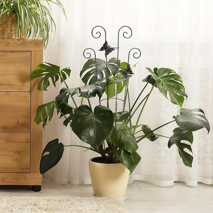 30'' Larger Plant Trellis with Ties Indoor, Expandable Metal Trellis for Climbing Plants Indoor, House Plant Climbing Support for Flowers Vine Ivy Monstera Hoya Pothos, 2P