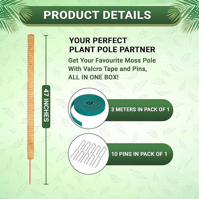 Bendable Moss Pole 48 Inch for Monstera & Climbing Plants – Pack of 2 Coco Coir Moss Poles for Indoor Plant Support, Trellis Pole for Pothos, Philodendron, Tall Plant Stakes for Home Gardeners