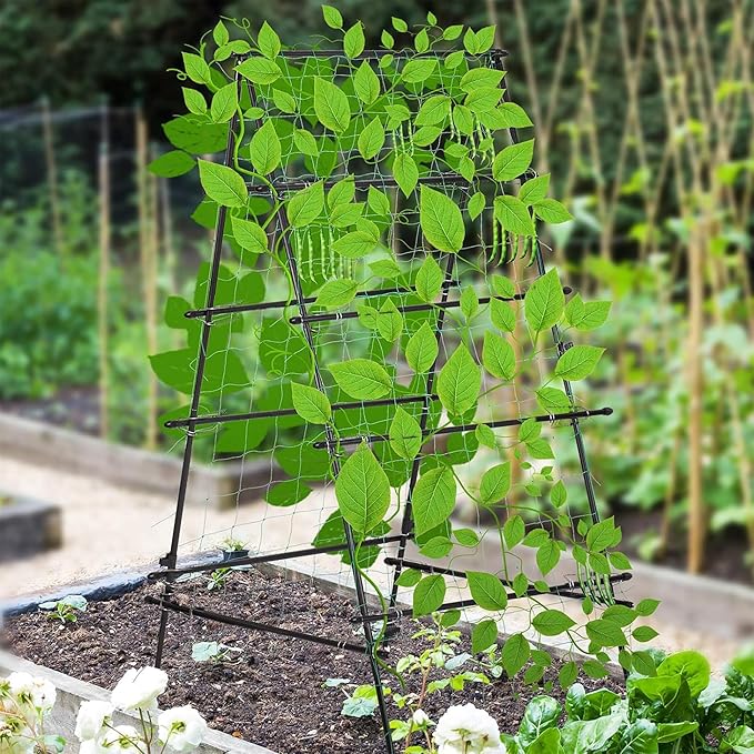 HPC Decor Cucumber Trellis for Raised Bed, 6 FT Tall Garden Trellis for Climbing Plant Outdoor, Metal A Frame Trellis with Climbing Net, Support for Vegetable, Grape, Tomato, Peas, Fruit, Vine.
