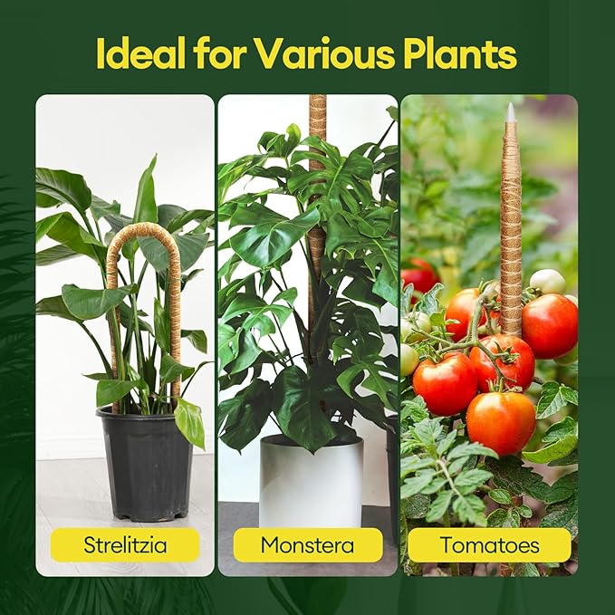 Maygrove 3-Pack 48” Bendable Moss Pole Monstera Plant Support for Climbing Indoors Plants, Coir Moss Poles Moss Sticks Plant Pole DIY, Plant Support Stake for Potted Plants