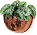 Allegorie Metal Wall Planter | Indoor or Outdoor Hanging Plant Pot | Farmhouse Decor & Boho Kitchen Decoration for Herbs & Succulents and Living Wall 12x7 (Copper)