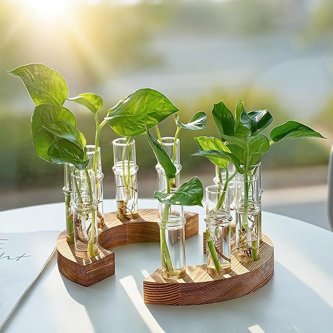 2 PCS Plant Propagation Station with Wooden Stand, Glass Terrarium Vases for Plants, Birthday Gifts for Women Mom Plants Lovers, Home Office Garden Decor, 10 Tubes