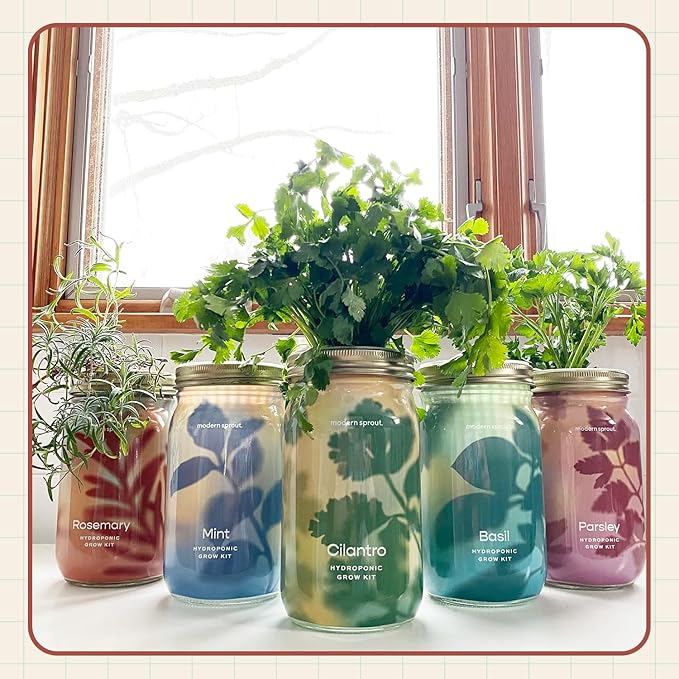 Modern Sprout Mason Garden Jar - Self-Watering Hydroponics Growing System Kit with Organic Herb Seeds - Jar Planter for Indoor Herb Garden - Seed Starter Kit - Home Decor & Gifting - Rosemary