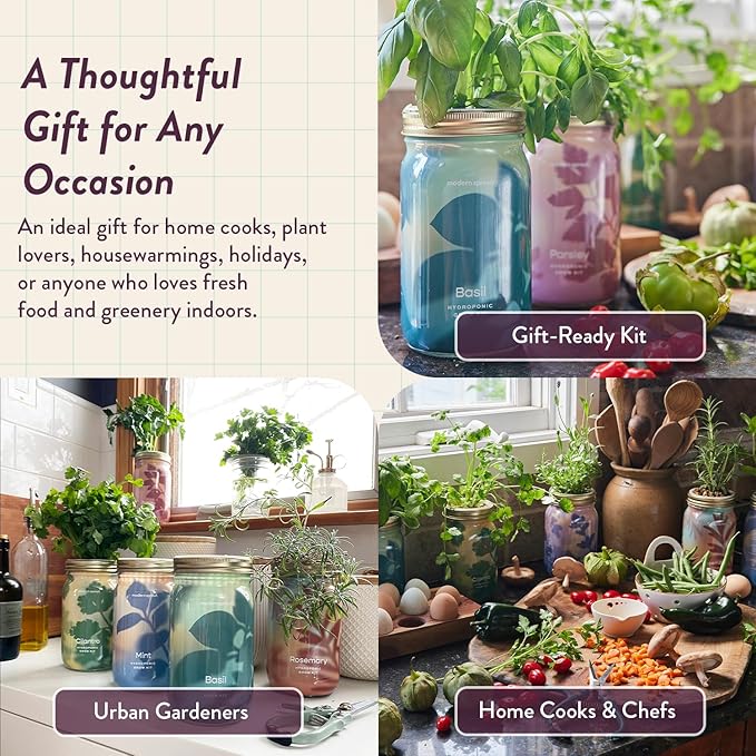 Modern Sprout Mason Garden Jar - Self-Watering Hydroponics Growing System Kit with Organic Herb Seeds - Jar Planter for Indoor Herb Garden - Seed Starter Kit - Home Decor & Gifting - Parsley
