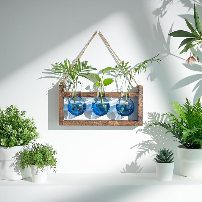 Plant Propagation Station with Wood Stand - Wall Glass Terrarium for Cuttings Air Plants Small Flower Pothos - Gift for Women Plant Lovers (Gradient Blue)