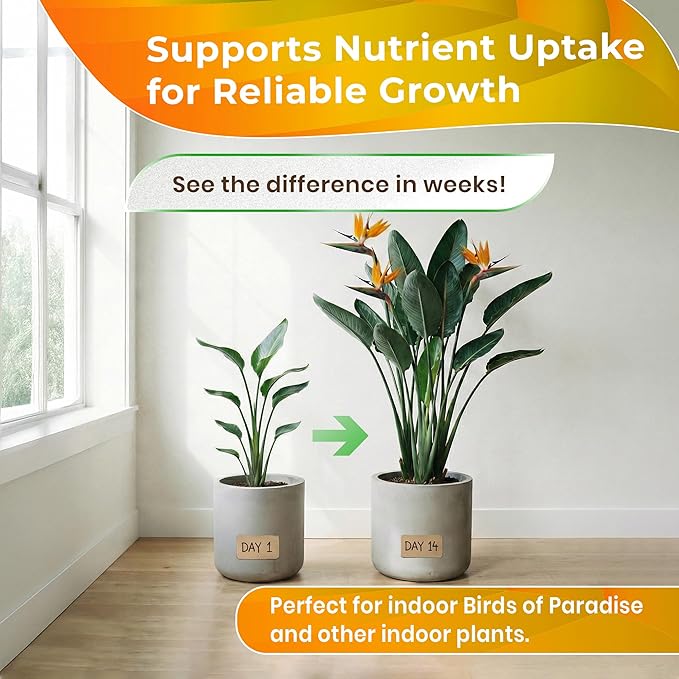 Professional Bird of Paradise Soil 8.2 Quarts Ready to Use, Premium Birds of Paradise Potting Soil for Indoor Plants, Peat Moss Coco Coir Perlite Dolomite, Well Draining Soil Made in USA