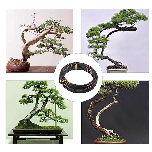 Bonsai Training Wire Kit 3 Sizes, 2.5mm/3.0mm/4.0mm Anodized Aluminum Bonsai Wire, Antique Bronze Aluminum Wire Set for Bonsai Trees Shaping and Training(100g Each Size)
