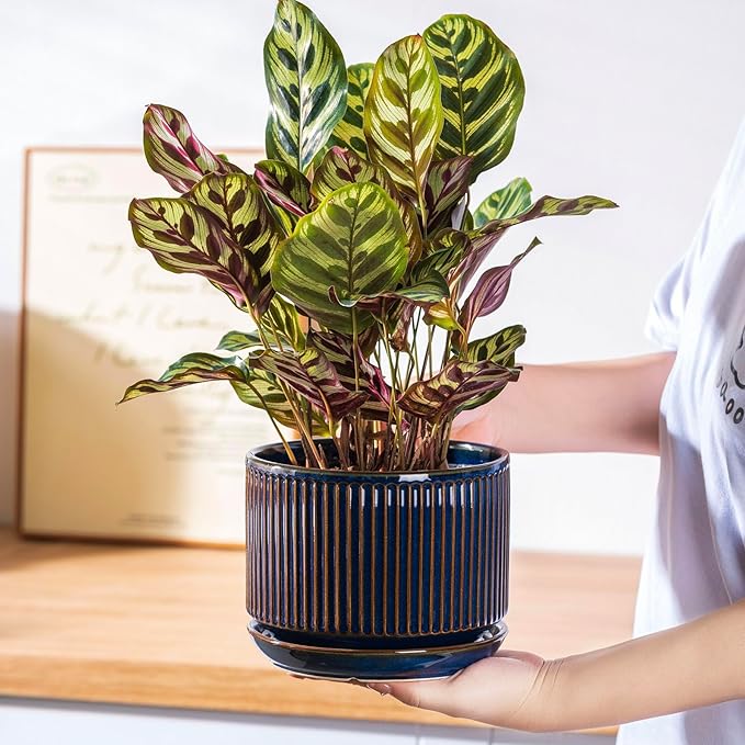 SURE YUESI Navy Blue Ceramic Plant Pots Set of 3 (4.3”+5.5”+6.7”), Indoor Striped Planters with Drainage Hole, Mesh Pads, Decorative Pots for Plants & Gardening