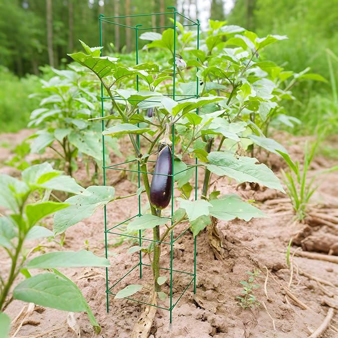 Thealyn Tomato Cages 6 Packs 57 Inches (H) Plant Stand with 164 Feet Twist Ties, Heavy Duty Garden Plants Support for Tomatoes, Cucumber, and Other Climbing Plants (Green)