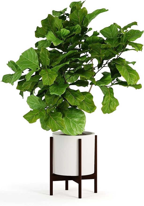 Fox & Fern Bamboo Plant Stand — 11.8 Inch Fixed Size Wooden Mid Century Plant Stand for Indoor Planters (Not Included) - Raised Flower Pot Holder for Indoor Big Pots - Plug In Design - Dark Bamboo