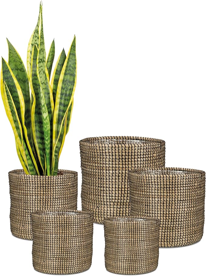 Scheurich Seagrass 22 Basket Planter/Basket Planter/Basket Pot Made of Seagrass Colour: Black, 22 cm Diameter, 19.5 cm High, 7.5 L Vol.