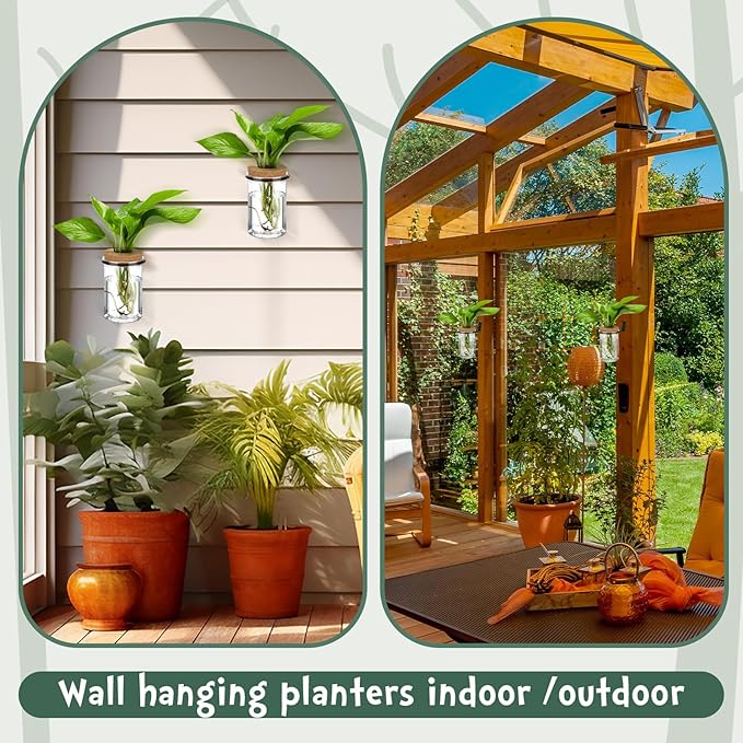Baderke 12 Set Wall Plant Holder with Plastic Propagation Vases Hanging Planter Wall Mounted Set for Plants Growing in Water Hydroponic Artificial Plants Indoor Decor (2.48" X 3.94",Classic)