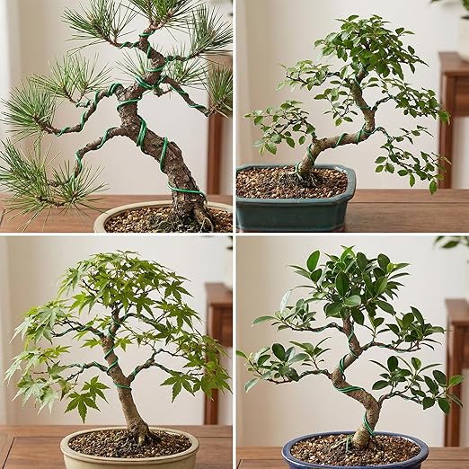 Bonsai Wire Kit, 98 Feet Green Aluminum Bonsai Tree Training Wire Bonsai-Tool Set Adjustable Wires Accessories for Holding Branches Small Trunks Bonsai-Trees Indoor Garden DIY Tools (Green, 1mm, 30m)