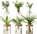 Plant Propagation Stations, 2 Style Glass Planter Terrariums, Propagation Vases for Plant, Plant Propagation Jars for Hydroponic Planter Home Office Tabletop Decoration (6)