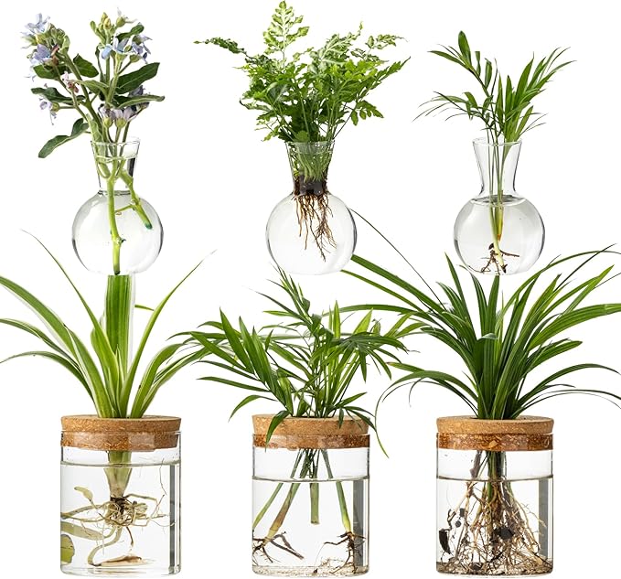 Plant Propagation Stations, 2 Style Glass Planter Terrariums, Propagation Vases for Plant, Plant Propagation Jars for Hydroponic Planter Home Office Tabletop Decoration (6)