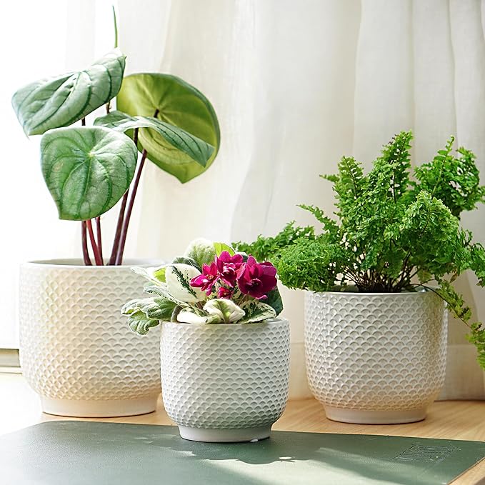 4 + 5 + 6 Inch Ceramic Pots for Indoor Plants, Succulents Plant Pots, Orchid Flower Pot with Drainage Hole, Modern Clay Stoneware Planters, Set of 3 (White, 4+5+6 Inch)