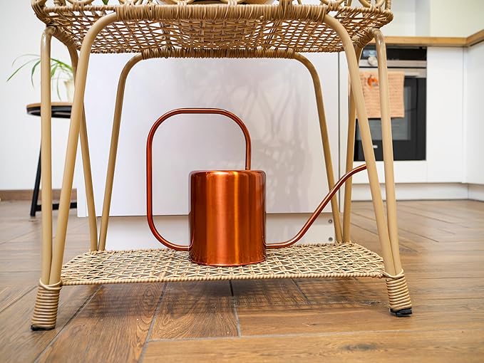 Plexon Rose Gold Metal Watering Can Indoor Plants, 54 oz Stainless Steel Long Spout Watering Can Outdoor House Plant Flower, Garden