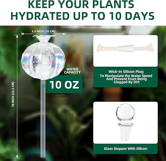 Soilagua 10 oz Large Top Fill Cactus Plant Self Watering Globes, Light Iridescent Glass Water Bulbs, Slow Release Watering Devices System Indoor | Outdoor Everyday Use, Water Spikes Stakes, 2 Pack