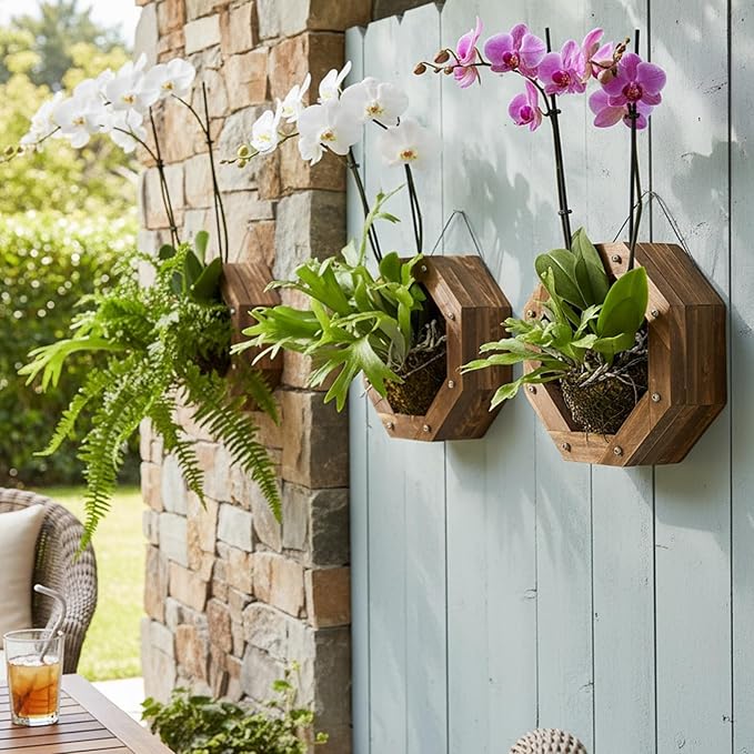 Staghorn Fern Mounting Kit - Wood Wall Planter for Orchids,Herbs & Indoor Plants | Hanging Plant Holder,Basket & Stand for Wall Decor(8.18inch)
