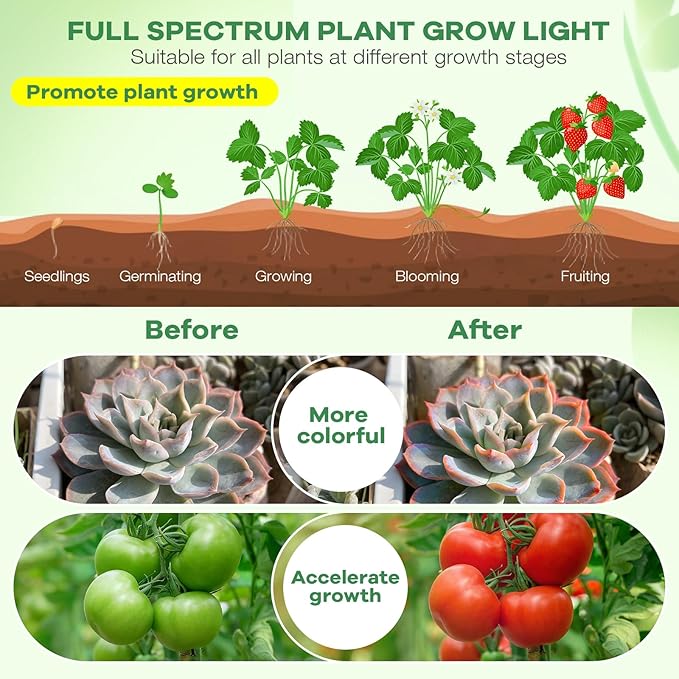 Led Grow Lights, 3 Heads Red Blue Plant Light with Clamp for Indoor Plants & Seed Starting, 10-Level Dimmable, Auto On Off, Timing 3 9 12Hrs
