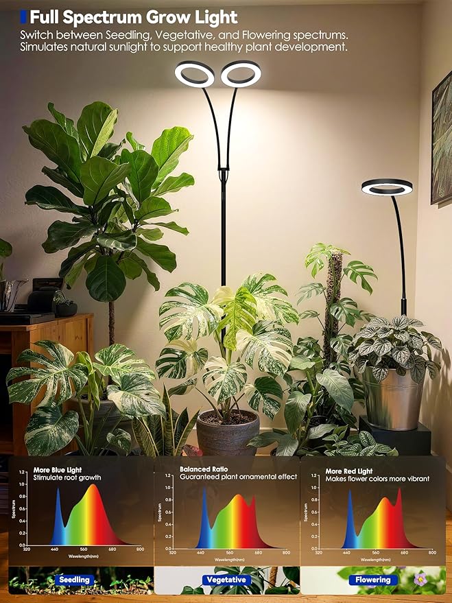 GLOWRIUM Grow Lights for Indoor Plants, Full Spectrum LED Grow Light Floor Lamp with Stand Adjustable Height and Angle, Black Plant Light with 3/9/12H Grow Light Timer (Black, 36W)