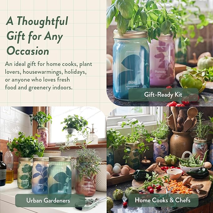 Modern Sprout Mason Garden Jar - Self-Watering Hydroponics Growing System Kit with Organic Herb Seeds - Jar Planter for Indoor Herb Garden - Seed Starter Kit - Home Decor & Gifting - Cilantro