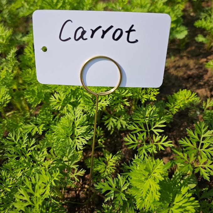 Garden Markers for Plants Outdoor - 20 Pcs 12" Metal Plant Tag Holders for Multiple-use with 40 Pcs Reusable Waterproof Labels & Marker Kit