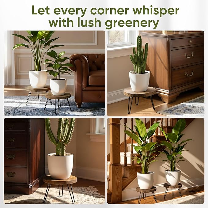 ROSSNY Small Indoor Plant Stand Stool: Fits for Under 10" Wide Pot - Wooden Plant Stool - Single Tier Short Round Plant Stool - Mid-century Modern Style for Indoor Outdoor Home Garden Décor, Dark Brown, 2 Pack (Without Pot)