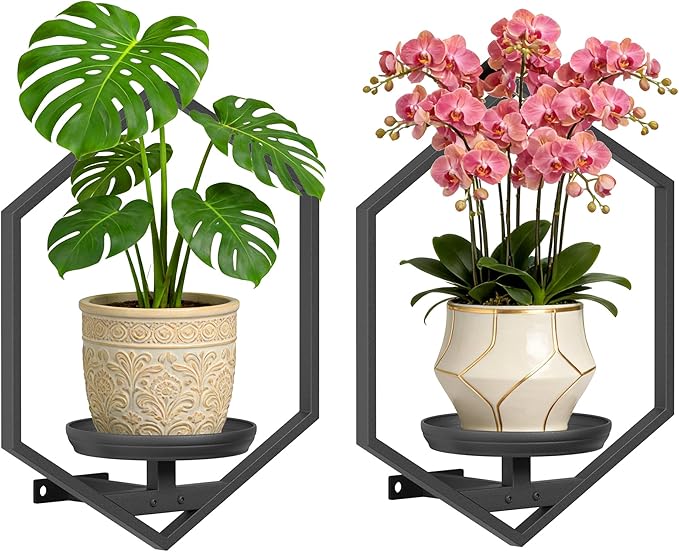 BXF Hexagon Floating Frame Plant Stand - 2 Pack Metal Wall Mounted Planters - Minimalist Geometric Hanging Decor for Indoor Succulents & Air Plants, Black