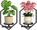 BXF Hexagon Floating Frame Plant Stand - 2 Pack Metal Wall Mounted Planters - Minimalist Geometric Hanging Decor for Indoor Succulents & Air Plants, Black