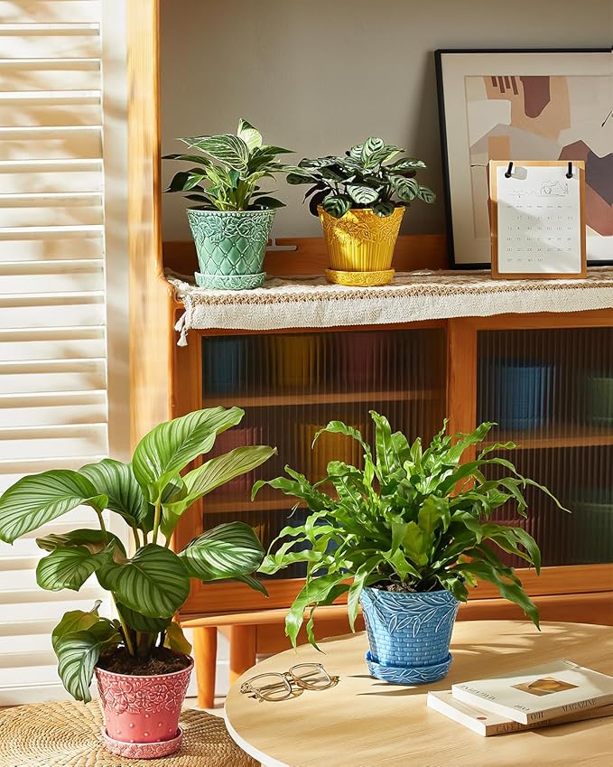 Metahom Ceramic Plant Pots, 5.8 Inch Flower Pots for Indoor Plants, Planters with Drainage Hole & Saucer, Garden Planters for Succulent, Orchid, Cactus, Home Decor, Set of 4, Assorted Colors