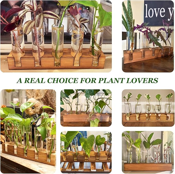 Renmxj Plant Propagation Station, Plant Terrarium with Wooden Stand for Hydroponics Plants Office Decor Unique Gardening Gifts for Women Plants Lovers - 10 Glass Test Tube Vases