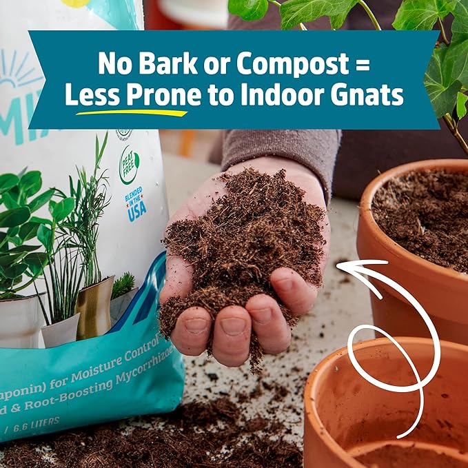 Back to the Roots 100% Organic Indoor Potting Mix (Value 12 Quart) | Promotes Healthy Houseplant Growth| Made in The USA