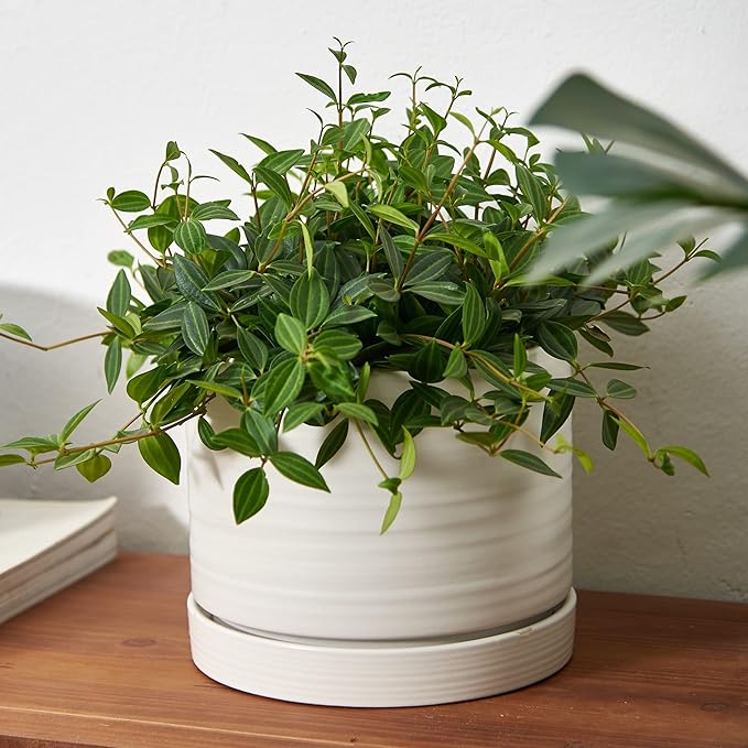 HERDUK 8 Inch Pots for Plants, Ceramic Planter Pot with Drainage Hole & Saucer, Indoor/Outdoor Cylinder Round Planter Pot, Matte White