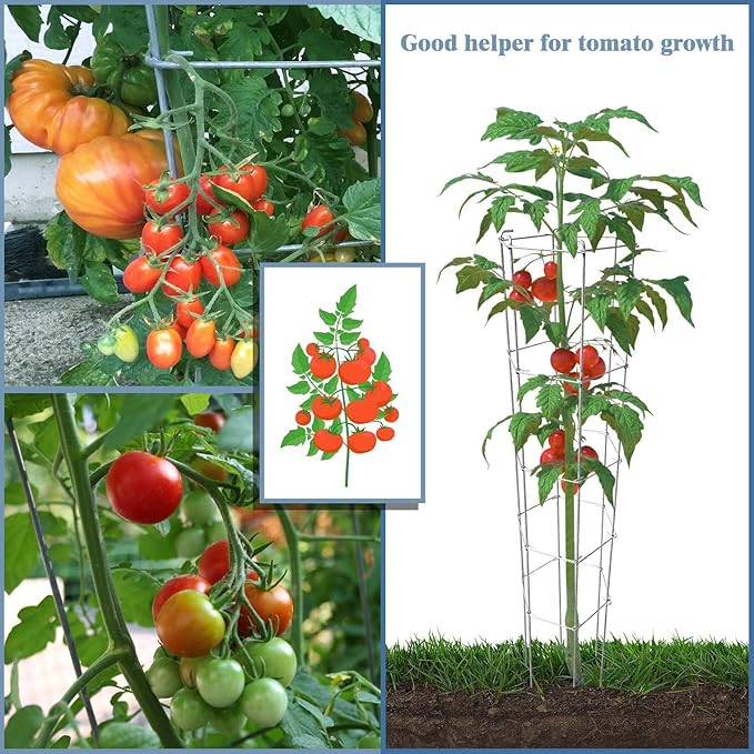 46 Inch Height 3PCS Galvanized Hexagon Folding Tomato Cage,Climbing Plant Support Tower Vegetable Stake Trellis