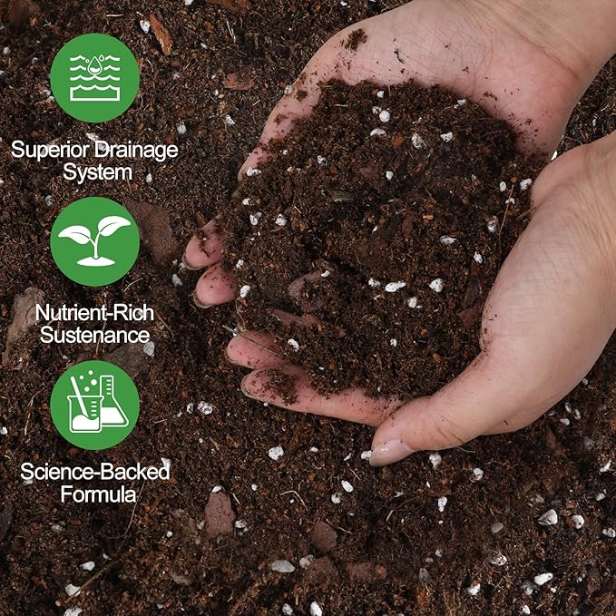 All-Natural Money Tree Soil & Indoor Potting Mix 2QT - Drainage-Enhanced Plant Soil for Healthy Indoor Plants