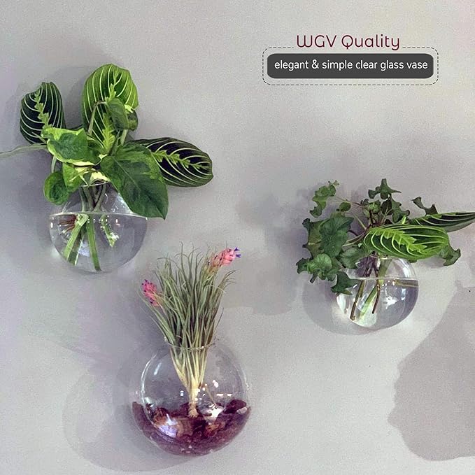 WGV Wall Hanging Planter Terrarium, Diameter 5", Clear Mounted DIY Succulents Air Glass Floral Container Vase, Tea Light Votive Candle Holder for Decoration 1 Piece