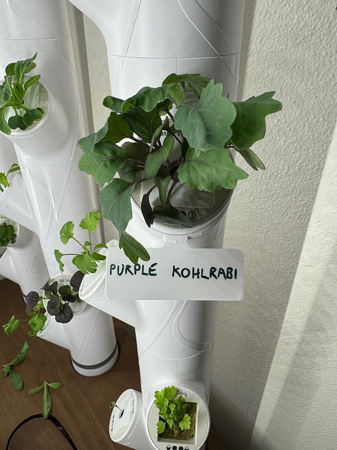 Reusable Plant Labels for Gardyn Hydroponic Systems (Set of 10)