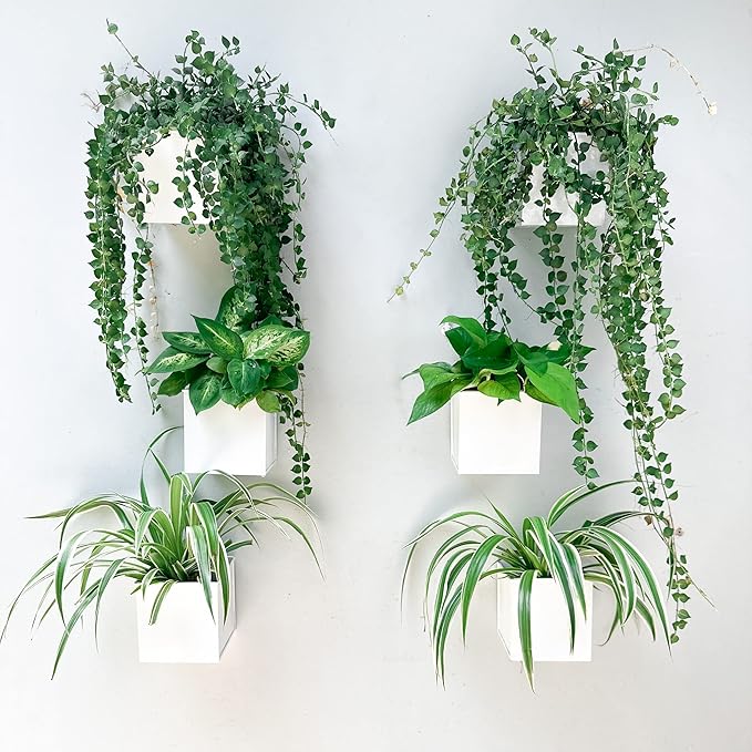LaLaGreen Wall Planter - 6 Pack, 4 Inch Square Metal Wall Planter for Indoor Plants, Small White Wall Mounted Flower Pots Outdoor Herb Garden Decor, Balcony Railings Hanging Buckets Porch Patio