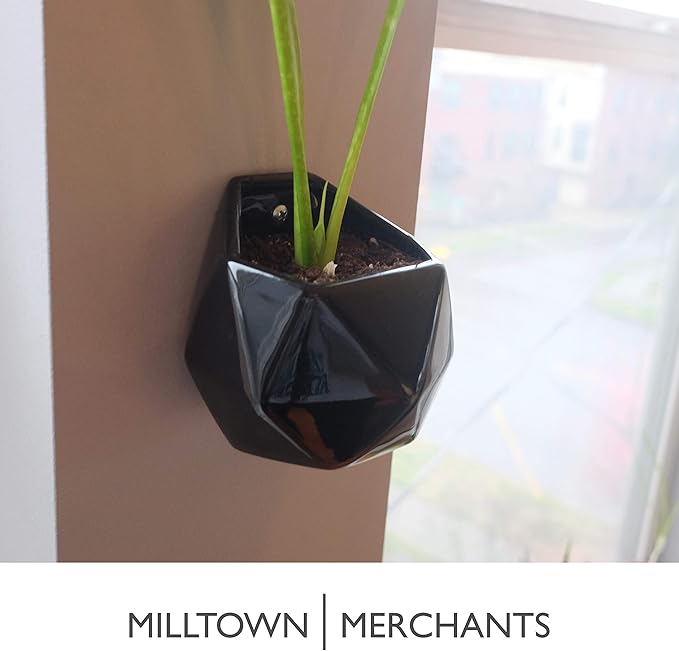 Succulent Wall Planter - Black Ceramic Mounted Planter - Succulent Plant Pot - Hanging Vase for Living Wall (1 Pack/Geometric/Black)