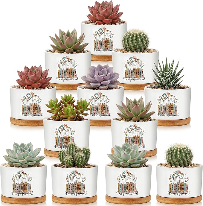 12 Pcs Paraprofessional Appreciation Gifts Succulent Planter Pots Ceramic Mini with Bamboo Trays Bulk for Teacher Assistant para Coworker Office Graduation Gifts, Plants Excluded