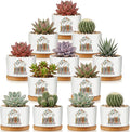 12 Pcs Paraprofessional Appreciation Gifts Succulent Planter Pots Ceramic Mini with Bamboo Trays Bulk for Teacher Assistant para Coworker Office Graduation Gifts, Plants Excluded