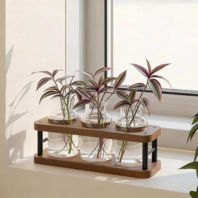 THYGIFTREE Plant Propagation Station with Wooden Stand, Propagation Vases Glass Planters for Indoor Plants Hydroponic Propagating Jars Home Office Decor, Brown