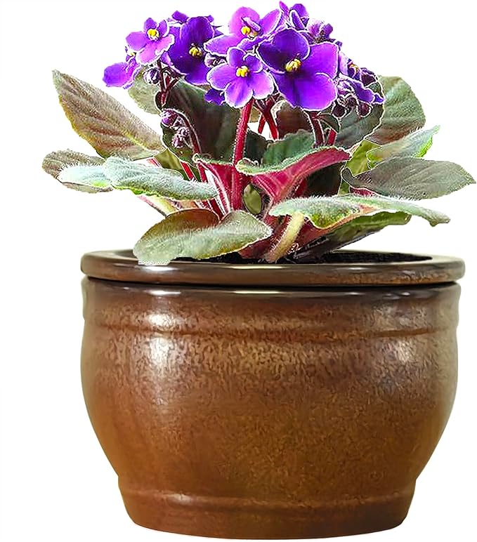 African Violet Pots Self Watering Round Ceramic Violet Pot (Copper, 6 inch)